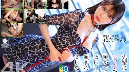 Nao Jinbo's Alluring Seduction: A Captivating Encounter in the Office