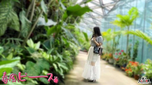 Alice Nagai การเปดตวของดาวดวงใหมสดสดใส
